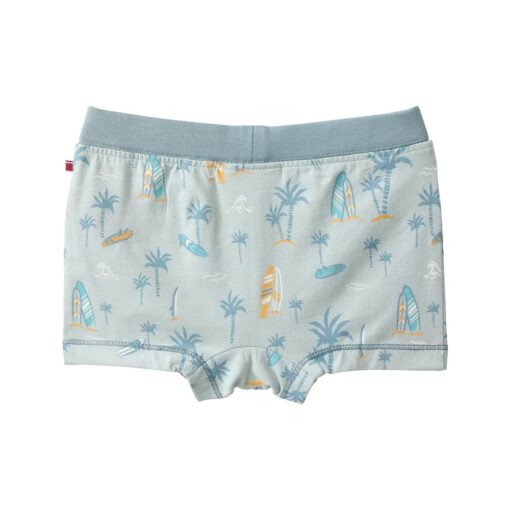 People Wear Organic Boxershorts salbei Surfing