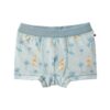 People Wear Organic Boxershorts salbei Surfing